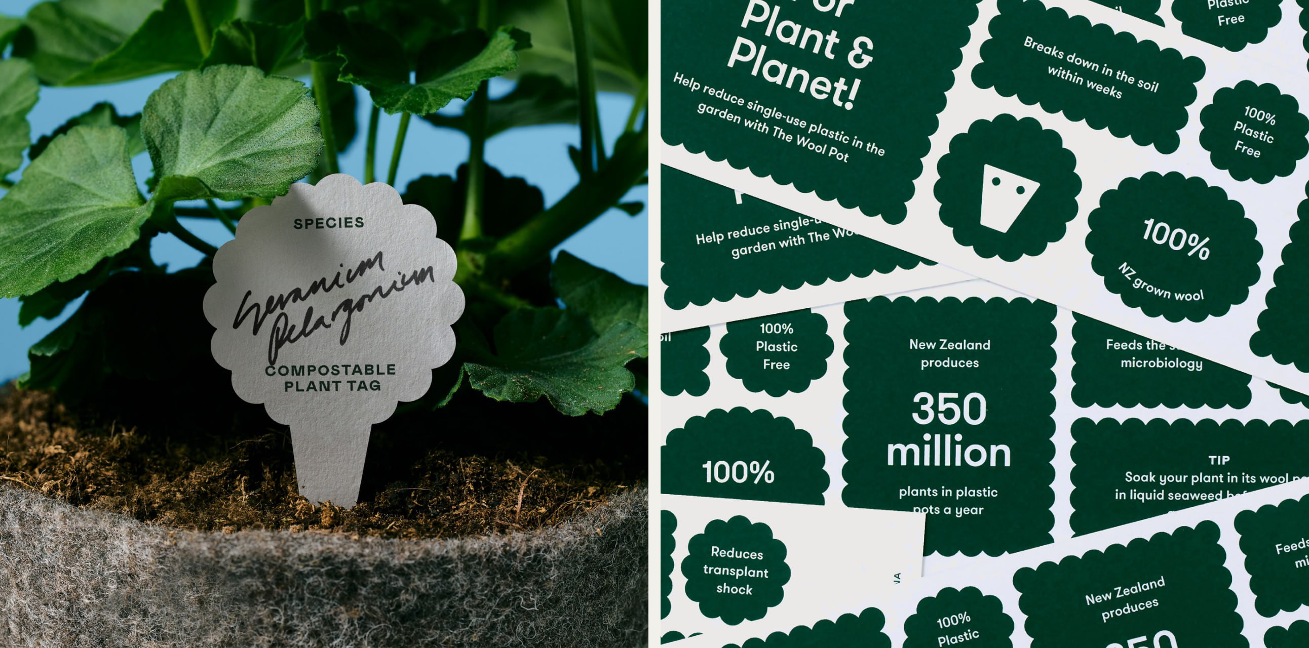 A scalloped plant marker in a wool pot, left; green The Wool Pot information panels with the same scalloped outline, right.